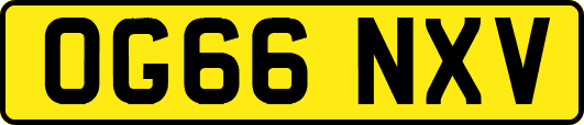 OG66NXV