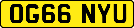 OG66NYU