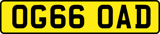 OG66OAD