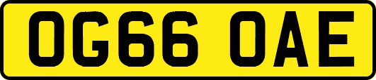 OG66OAE