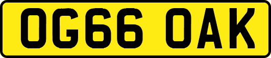 OG66OAK