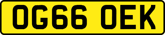 OG66OEK