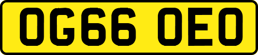 OG66OEO