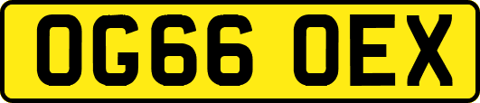 OG66OEX
