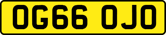 OG66OJO
