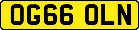 OG66OLN
