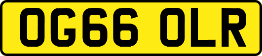 OG66OLR