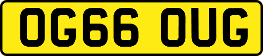 OG66OUG