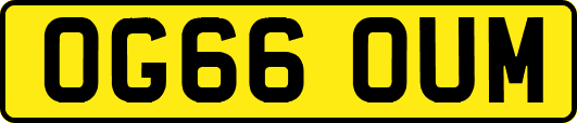 OG66OUM