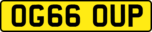 OG66OUP