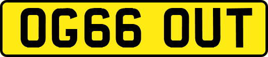 OG66OUT