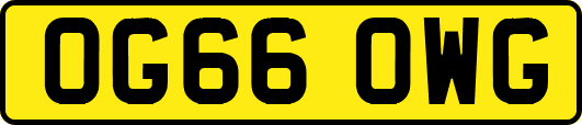 OG66OWG