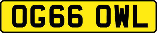 OG66OWL