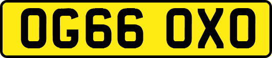 OG66OXO