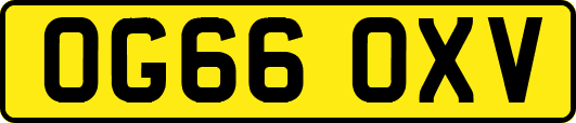 OG66OXV