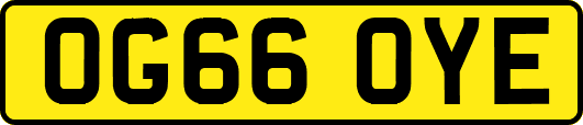 OG66OYE