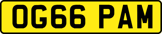 OG66PAM