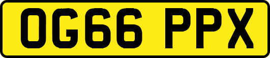 OG66PPX