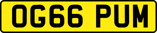 OG66PUM