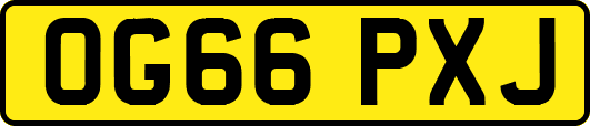 OG66PXJ