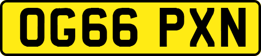 OG66PXN