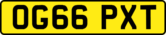 OG66PXT