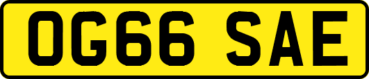 OG66SAE