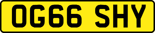 OG66SHY