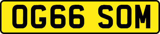 OG66SOM