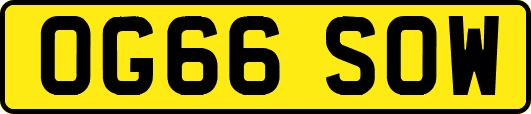 OG66SOW
