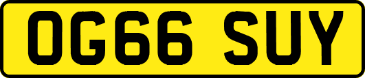 OG66SUY