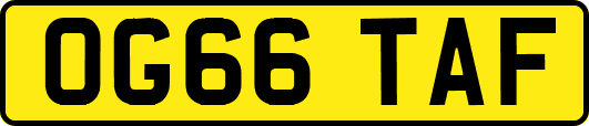 OG66TAF