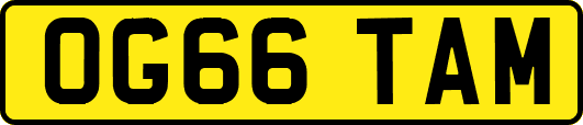 OG66TAM