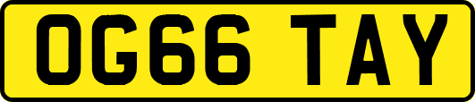 OG66TAY