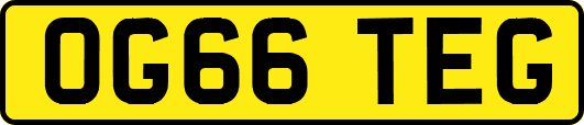 OG66TEG