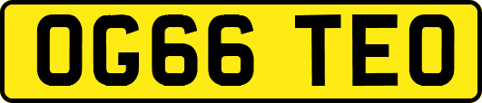 OG66TEO