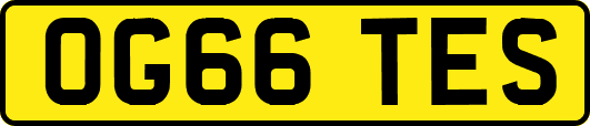 OG66TES