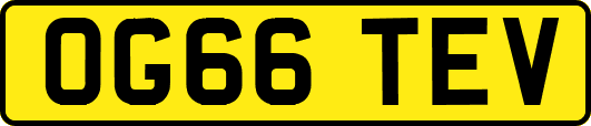 OG66TEV