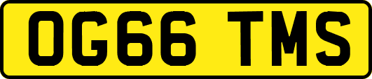 OG66TMS