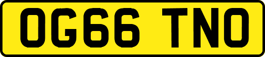 OG66TNO