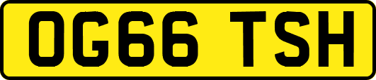 OG66TSH