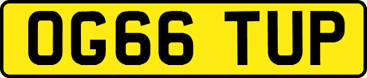 OG66TUP