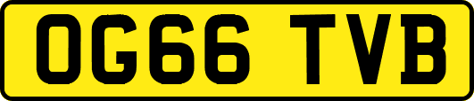 OG66TVB