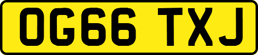 OG66TXJ