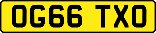 OG66TXO