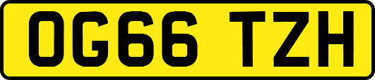 OG66TZH