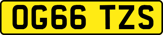 OG66TZS