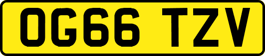 OG66TZV