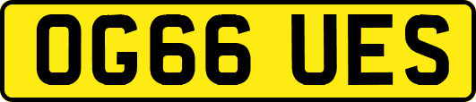 OG66UES