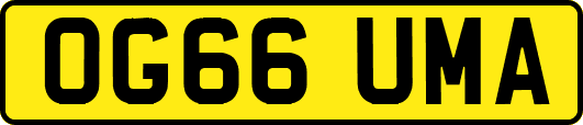 OG66UMA